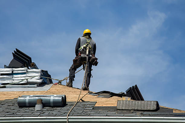Professional Storm Damage Roof Repair technician working in Lawrence, KS